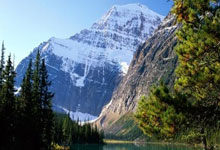 2026世界杯竞猜-国际足联主席：特朗普称欢迎伊朗参加2026年世界杯足球赛