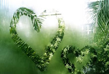 2026世界杯竞猜-金振灏：F1引擎轰鸣上海